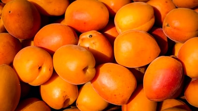浅焦点摄影橙色水果很多
